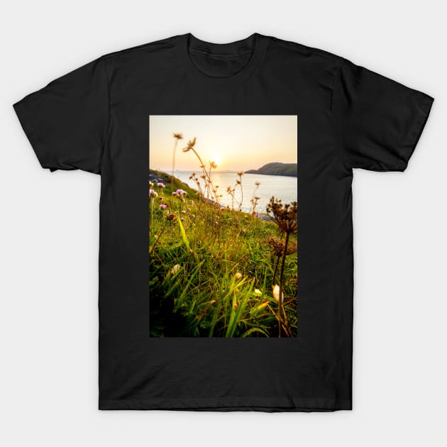 St Davids Head T-Shirt by geoffshoults